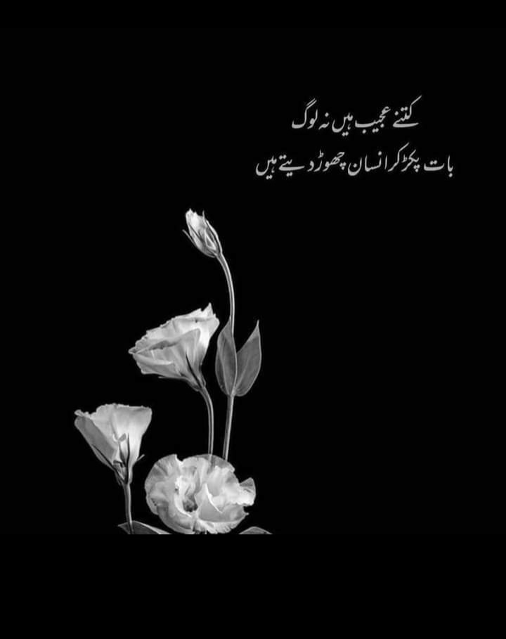 hi03708476's tweet photo. چھوٹی چھوٹی باتوں کو بنیاد بنا کر لوگ رشتے ختم کر دیتے ہیں اور پھر بعد میں پچھتاتے ہیں۔ https://t.co/Xp3NRbmCfz