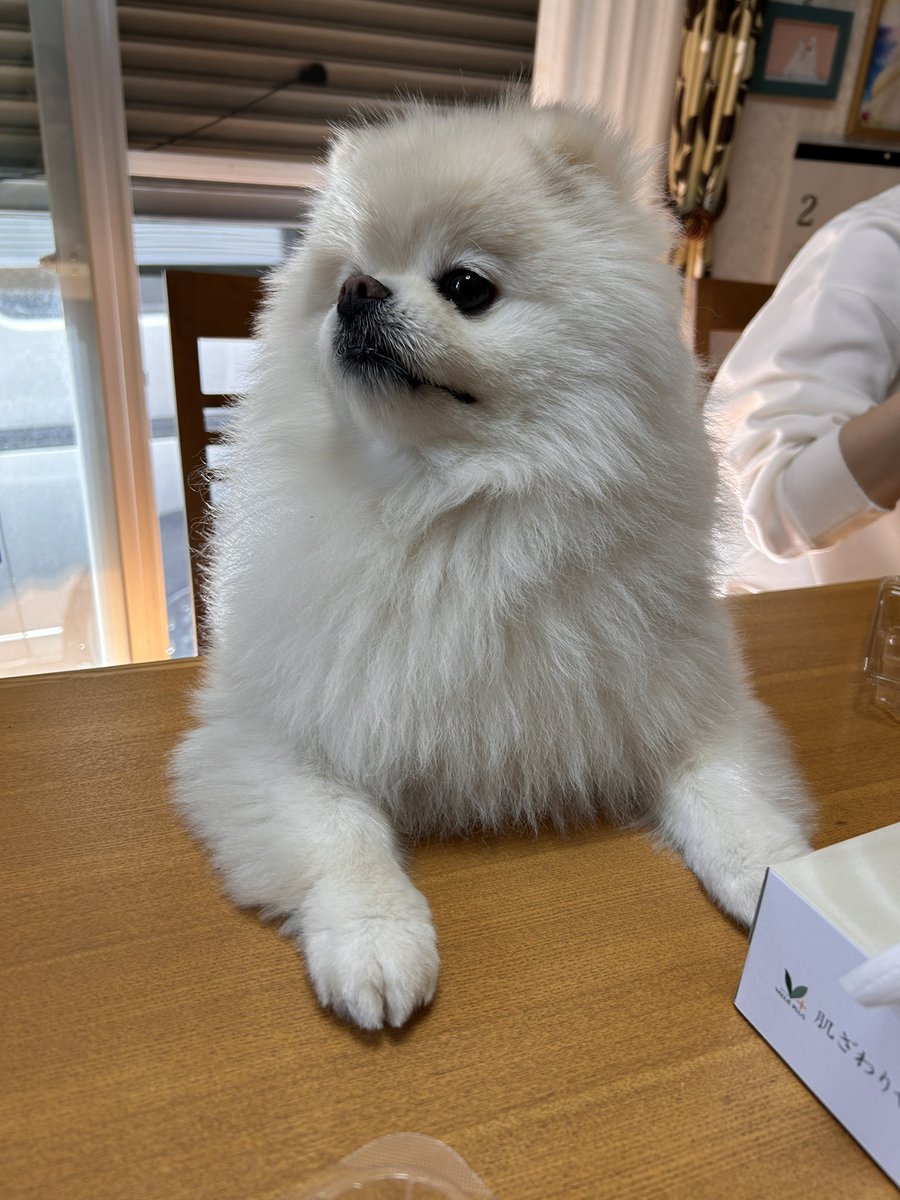 ぶ〜２@雑多 tweet media