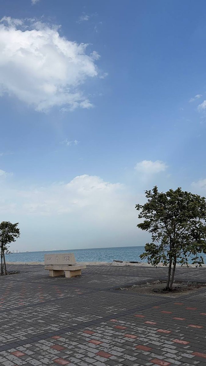 قرأت عبارة وهي
" أن الله يخبي لك من يشبهك "
وأحسها عبارة مطمئنة جداً بمعنى أنه مهما مريت بأشخاص مؤذيين أو ما ناسبوا لك  
في اخر المطاف بتلاقي ربي مخبي لك 
 الإنسان اللي يشبهك 🤍