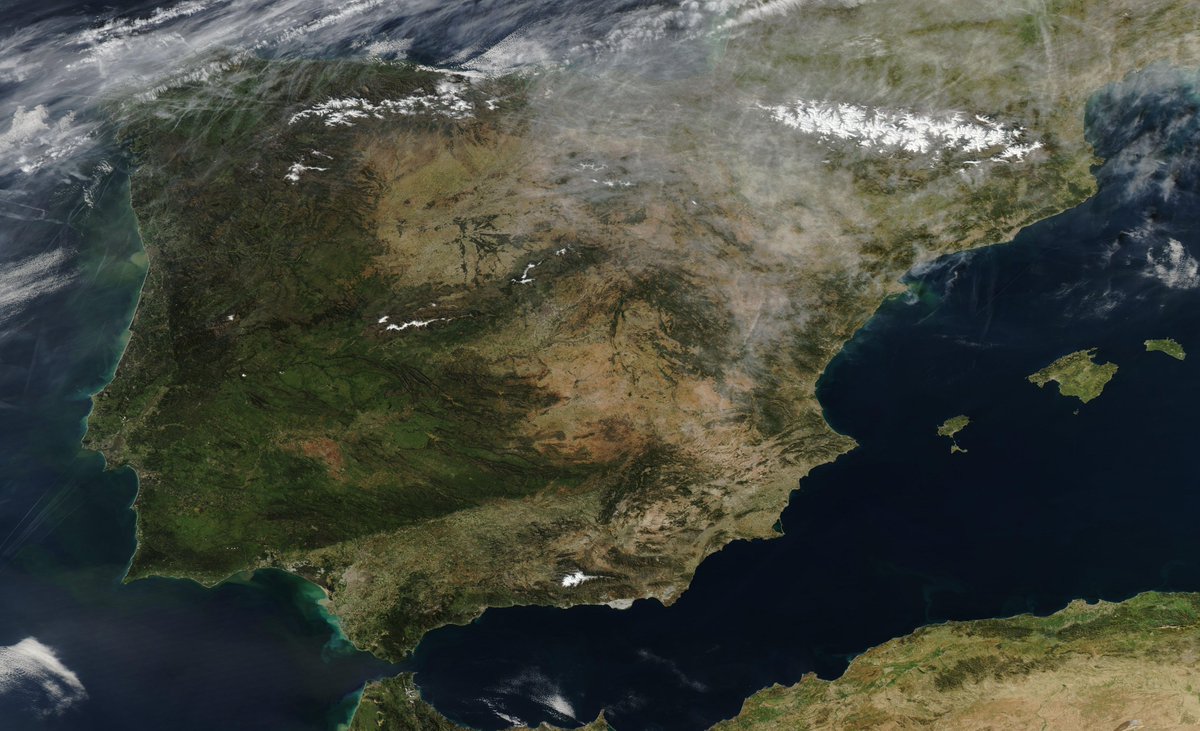 Roberto Granda tweet media