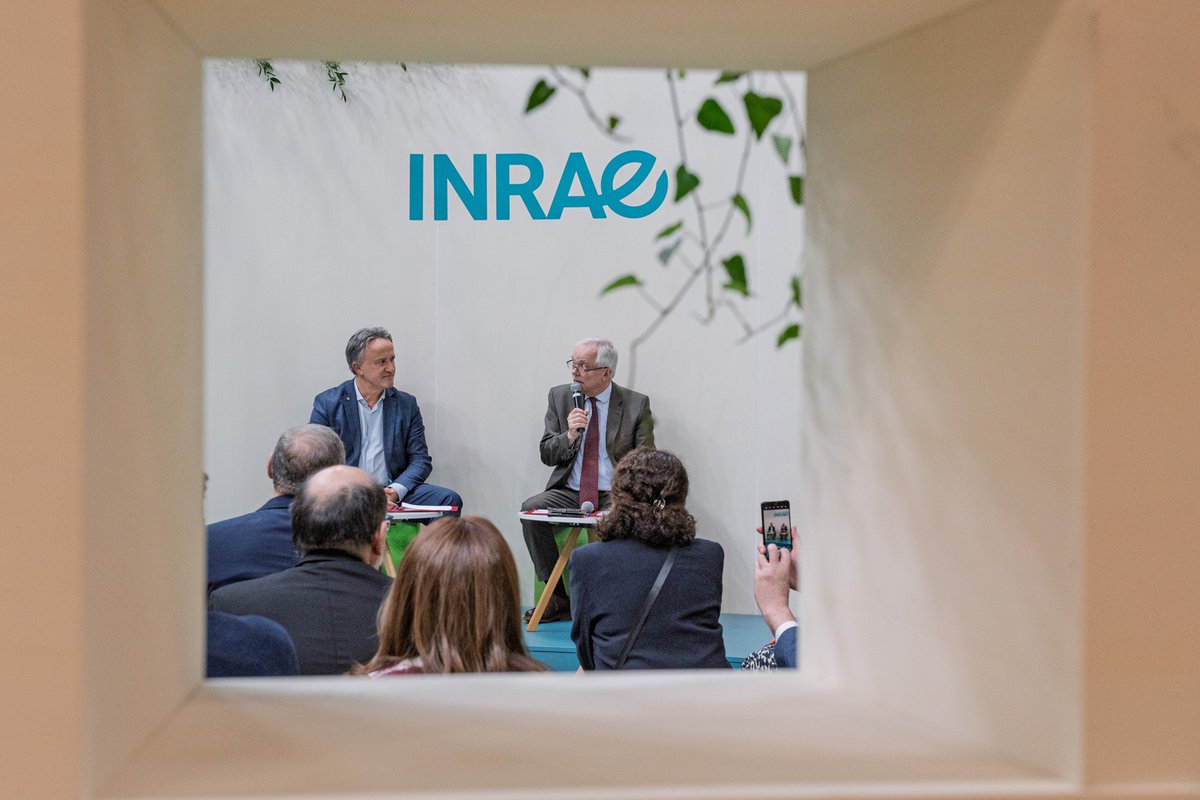 INRAE_France's tweet photo. #RP_INRAE 
Transitions agricoles, alimentaires et environnementales : @PhMauguin , PDG d’INRAE, et Laurent Buisson, DG @AgroParisTech  ont signé le renouvellement d’une convention-cadre avec la volonté de structurer et d’amplifier leur coopération scientifique.

Les deux établissements consolident ainsi une alliance historique dans des domaines stratégiques tels que la sécurité alimentaire, la transition agroécologique, la gestion durable des ressources et l’innovation au service des territoires. 

Le communiqué de presse :
👉https://t.co/WROdhzuZGd