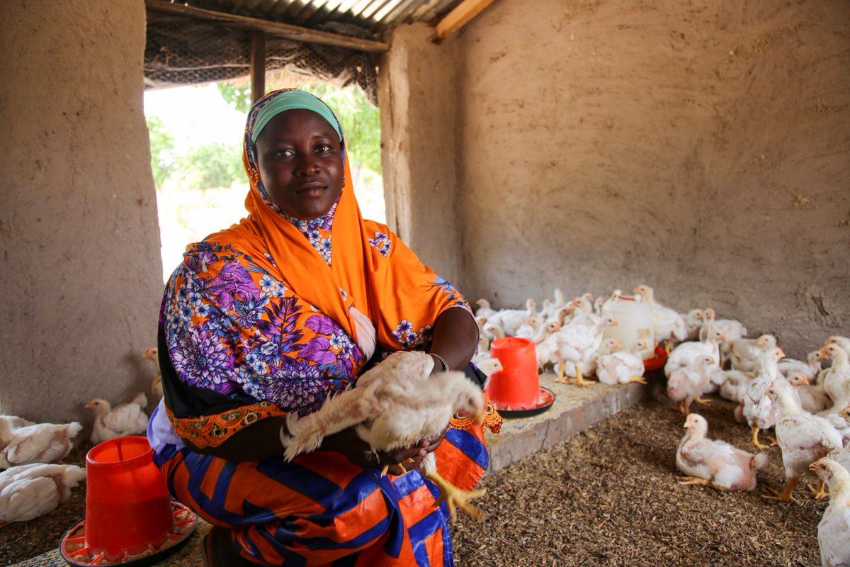 IFDC North and West Africa (ARCHIVED) tweet media