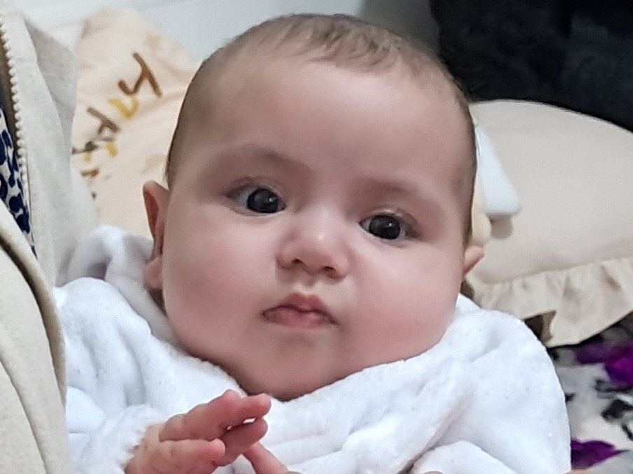 یار سیرجانی tweet media