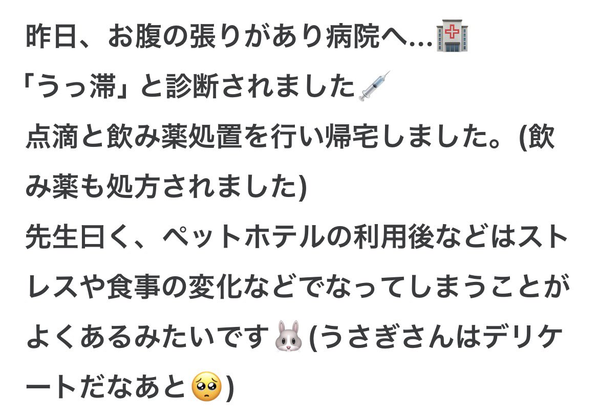 usako_haha's tweet photo. 「うさぎにとって環境の変化は大問題」。DMMオンラインサロン「みんなのうさこんち」では、ホテルからお帰りになった後のご様子もお知らせいただき、対応や対策を練っています。 https://t.co/fkvqXzYalC
