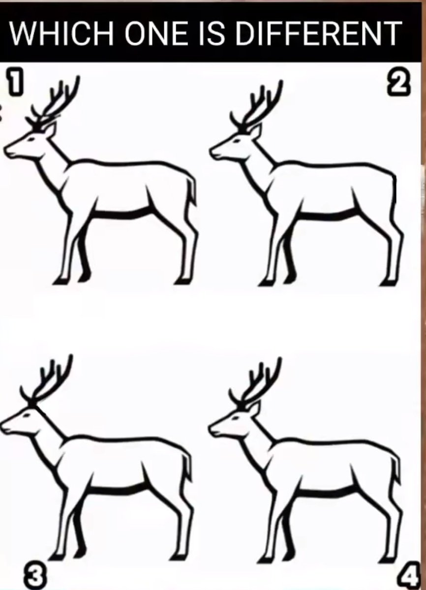 𝘽𝙧𝙚𝙖𝙠𝙏𝙝𝙚𝙎𝙞𝙡𝙤𝙨♪♪ tweet media