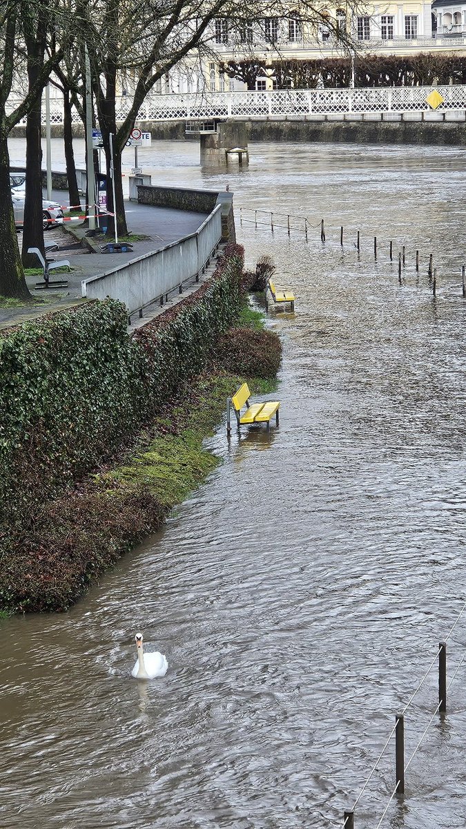 Karl Hofstätter tweet media