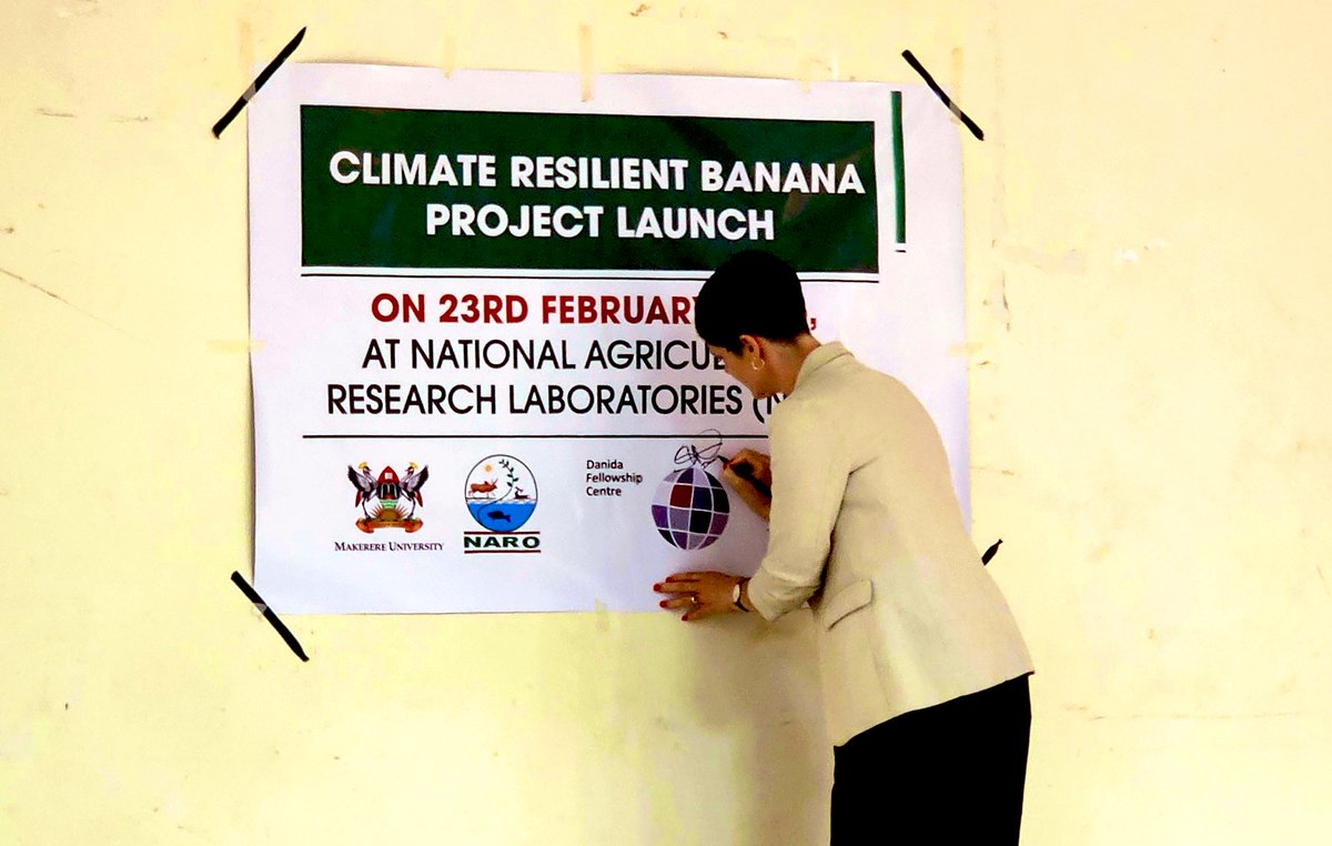 Signe Winding Albjerg tweet media