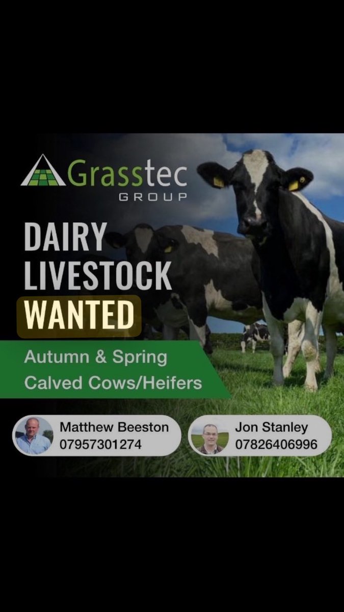 Matthew Beeston tweet media