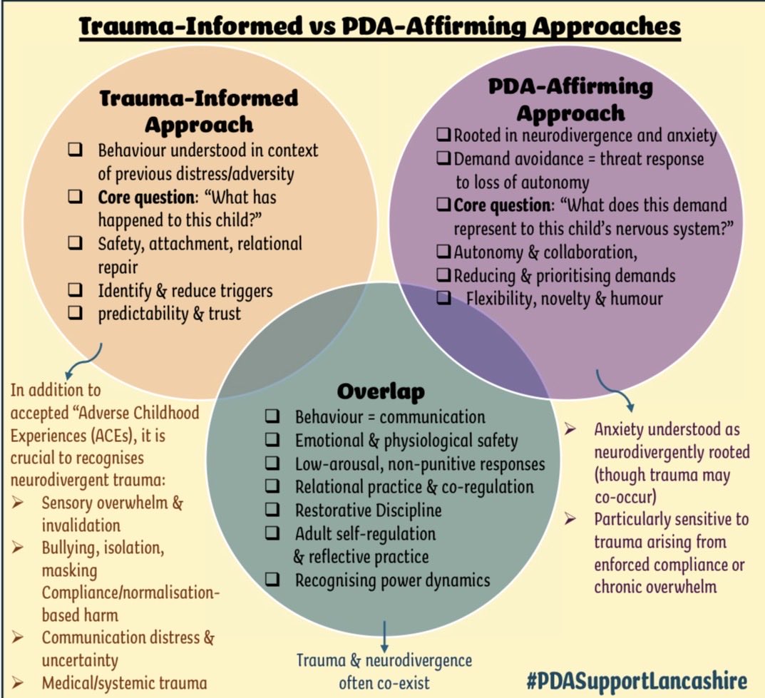 Holistic Health Visitor tweet media