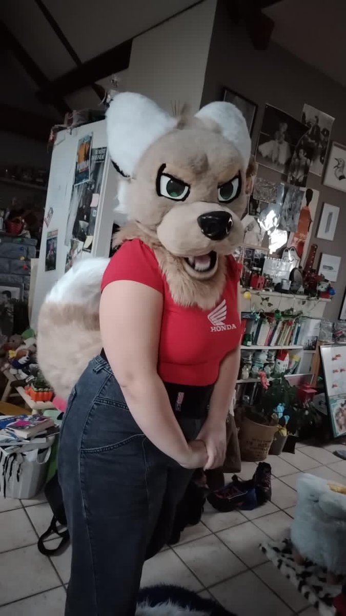 Fur Sweet Home #ANTHROPOLIS2026 tweet media