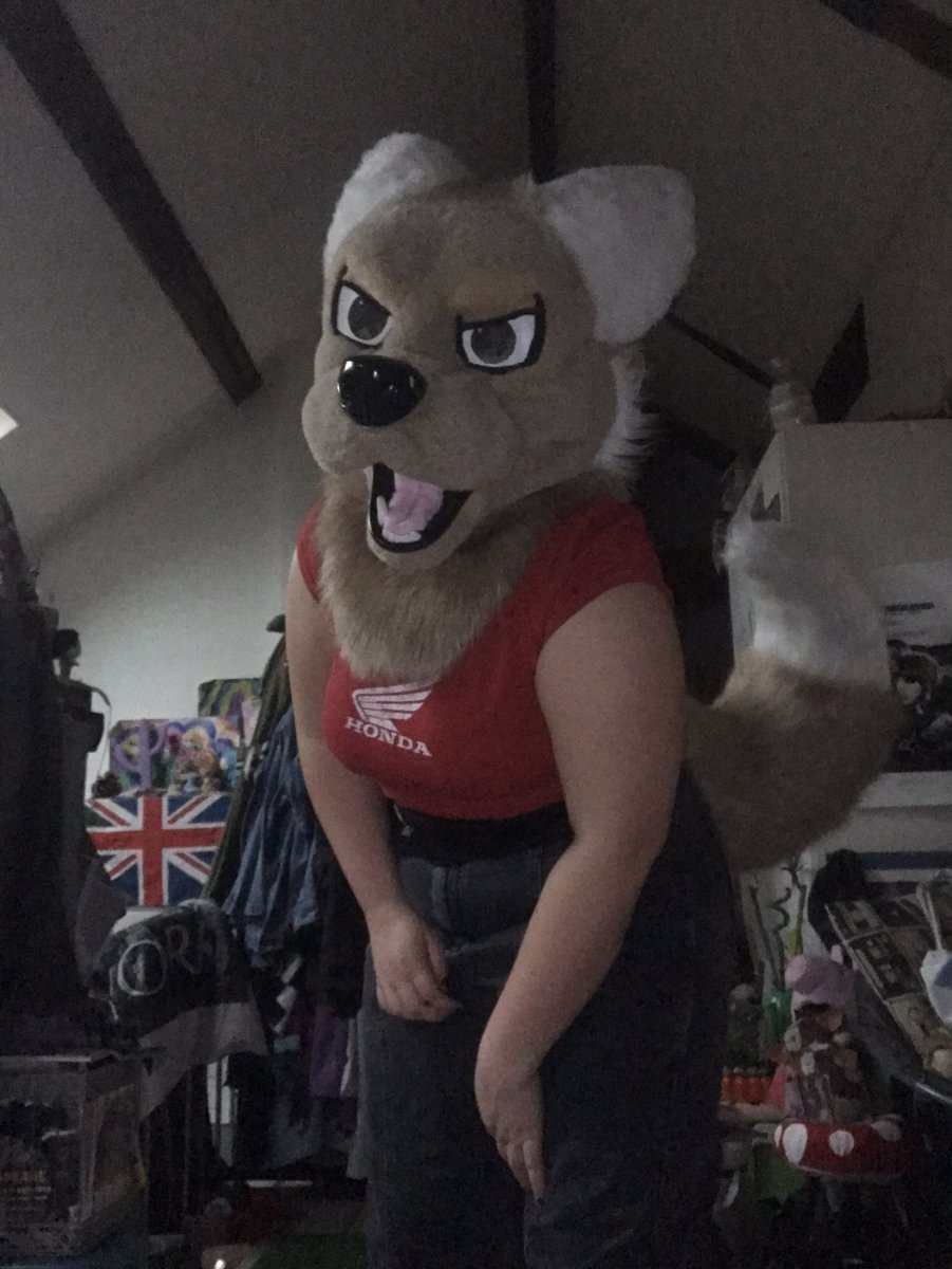 Fur Sweet Home #ANTHROPOLIS2026 tweet media