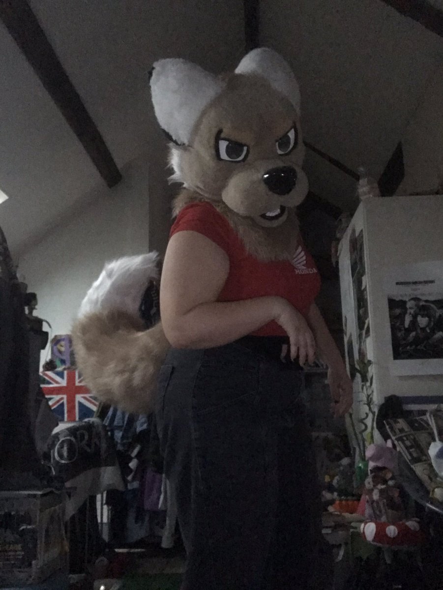 Fur Sweet Home #ANTHROPOLIS2026 tweet media