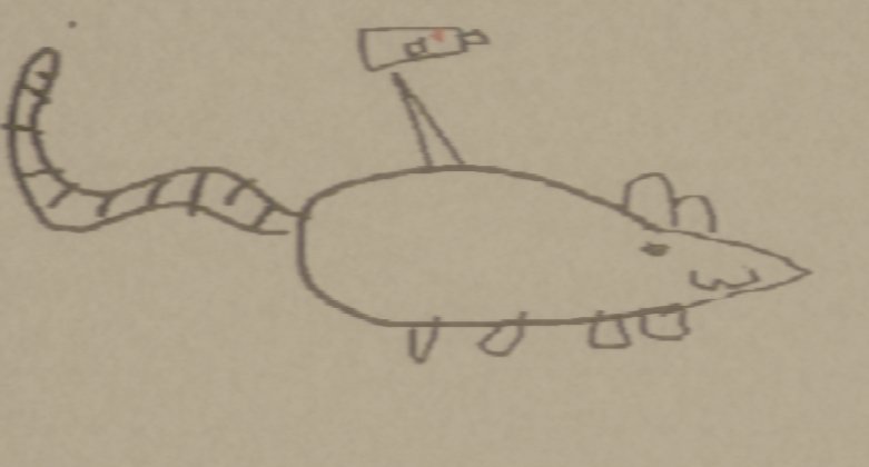 Momomo-Mo Mo-Momo squid based entertainment!! tweet media