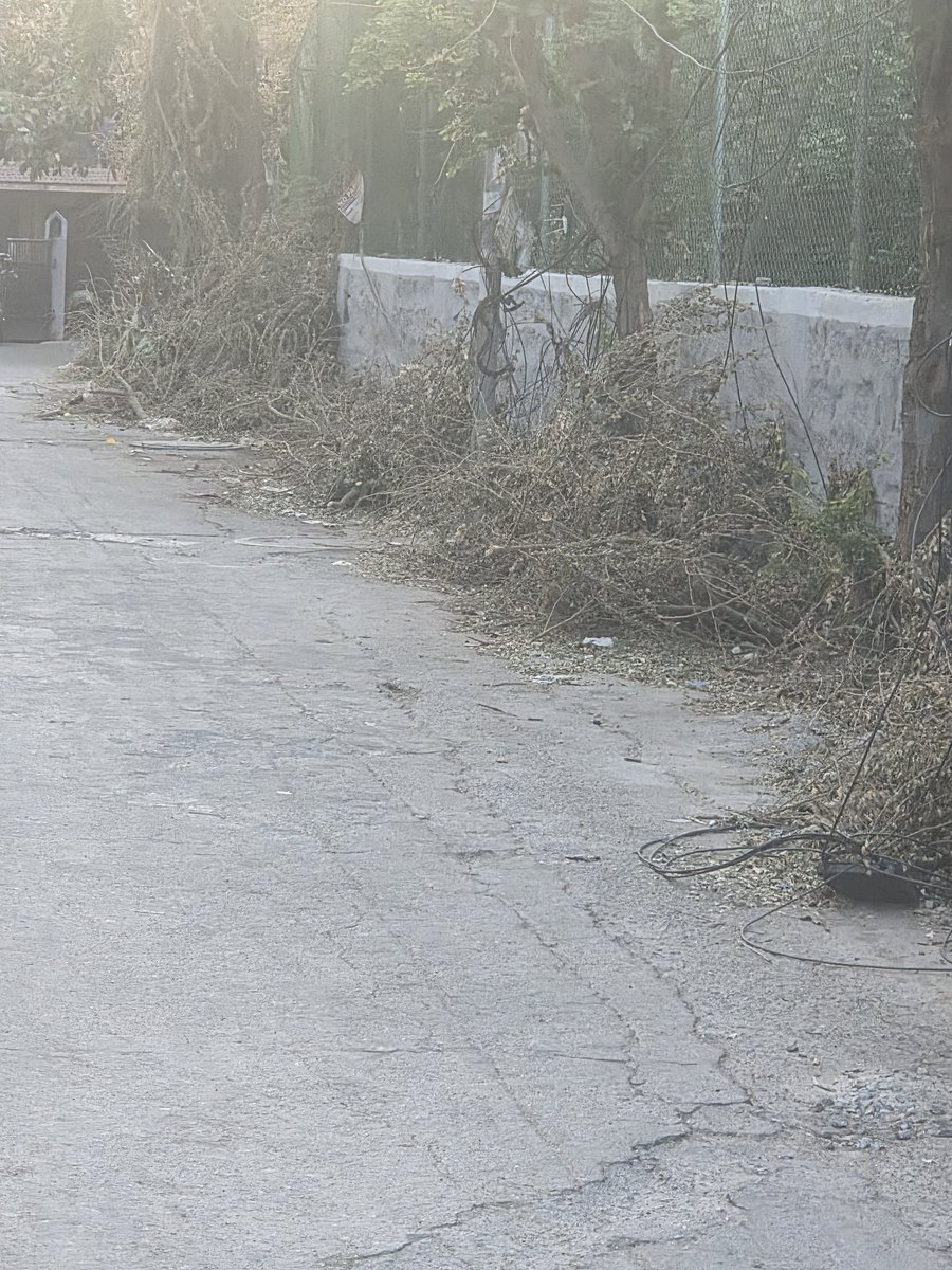 MAWahab83's tweet photo. @GHMCOnline Dear Ghmc,Trees cut in Himayathnagar street no 1 near nala, more than 1 month bk..Not yet picked up..please do the needful at the earliest. https://t.co/c3GagrDvPX