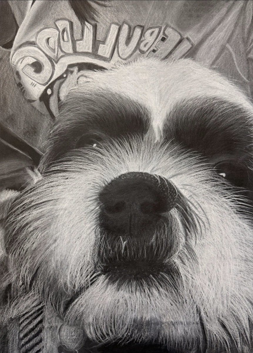 Mrs. C. Castaneda tweet media