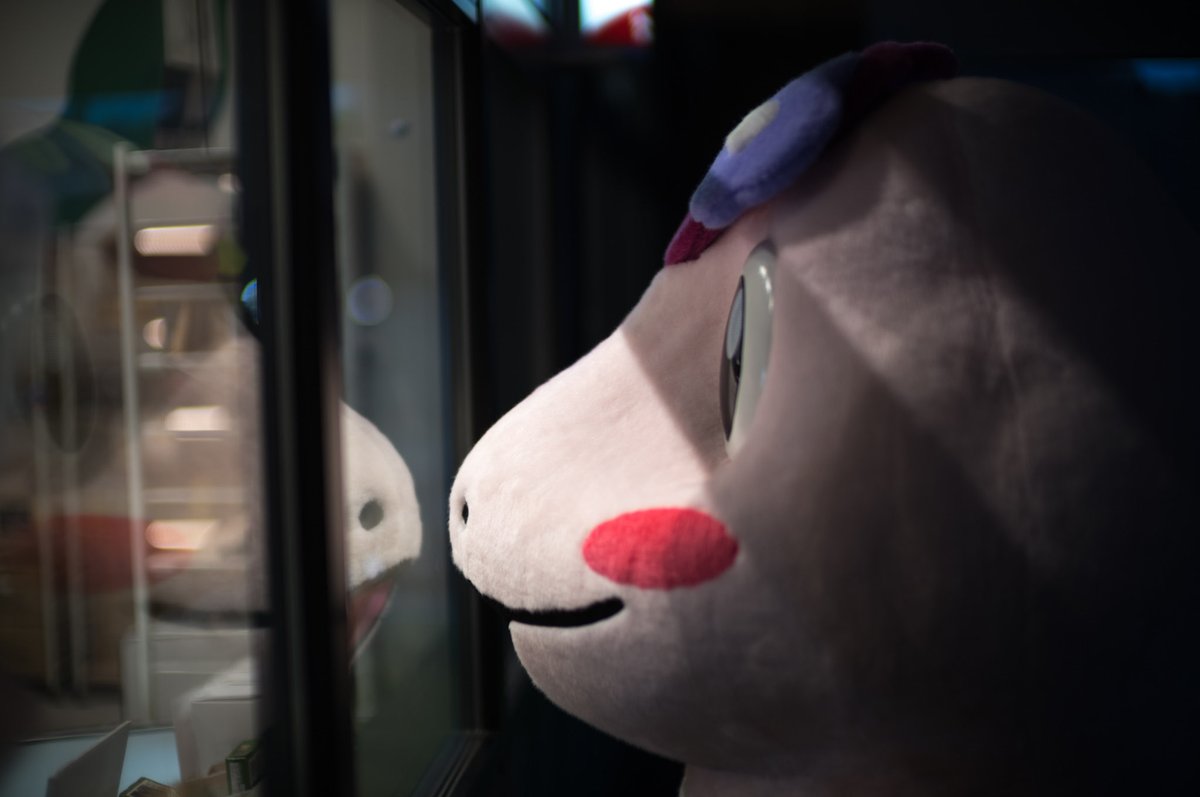 扉に顔が挟まってお店に入れず、外から店内をのぞく #りょっち 👀