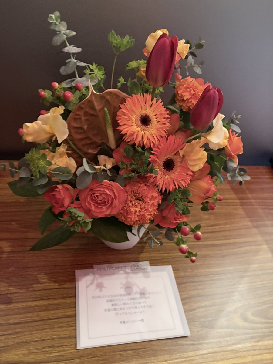 ごんたま (@gontamaaax) / Posts / X