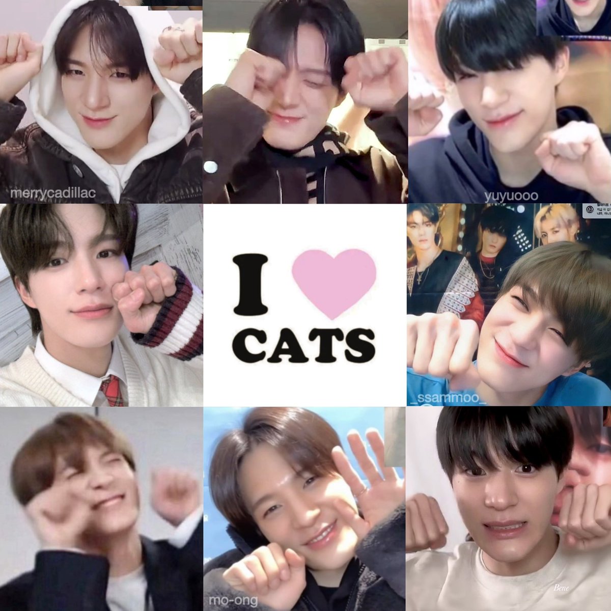 —cmp ◡̎ ♡ tweet media