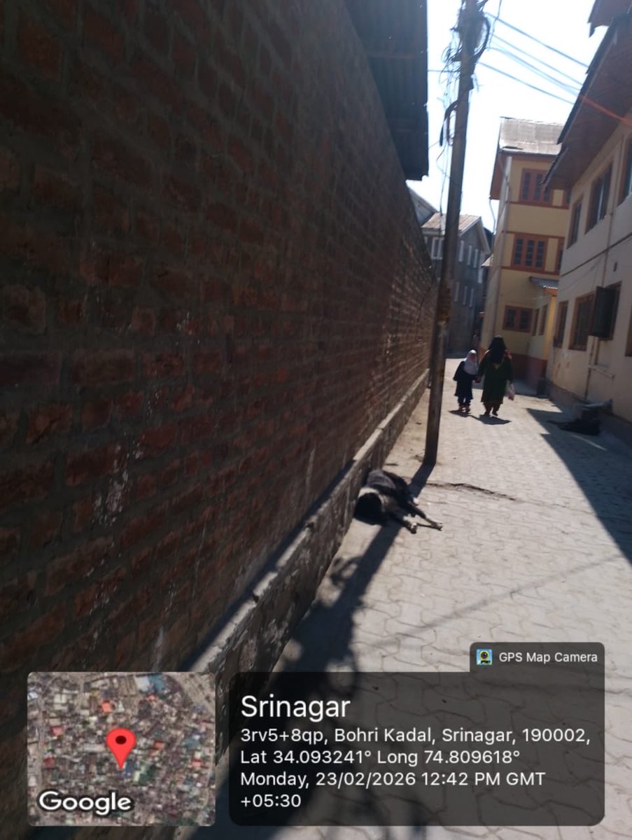 NazirBhat_'s tweet photo. In addition to the below pending lights, below are attached images where lighting is required in this holy month as worshipers move in darkness. 
@SMC_24x7 @SMC_Srinagar @FazLulhaseeb @KasNuzhat https://t.co/eLUm3ornUi