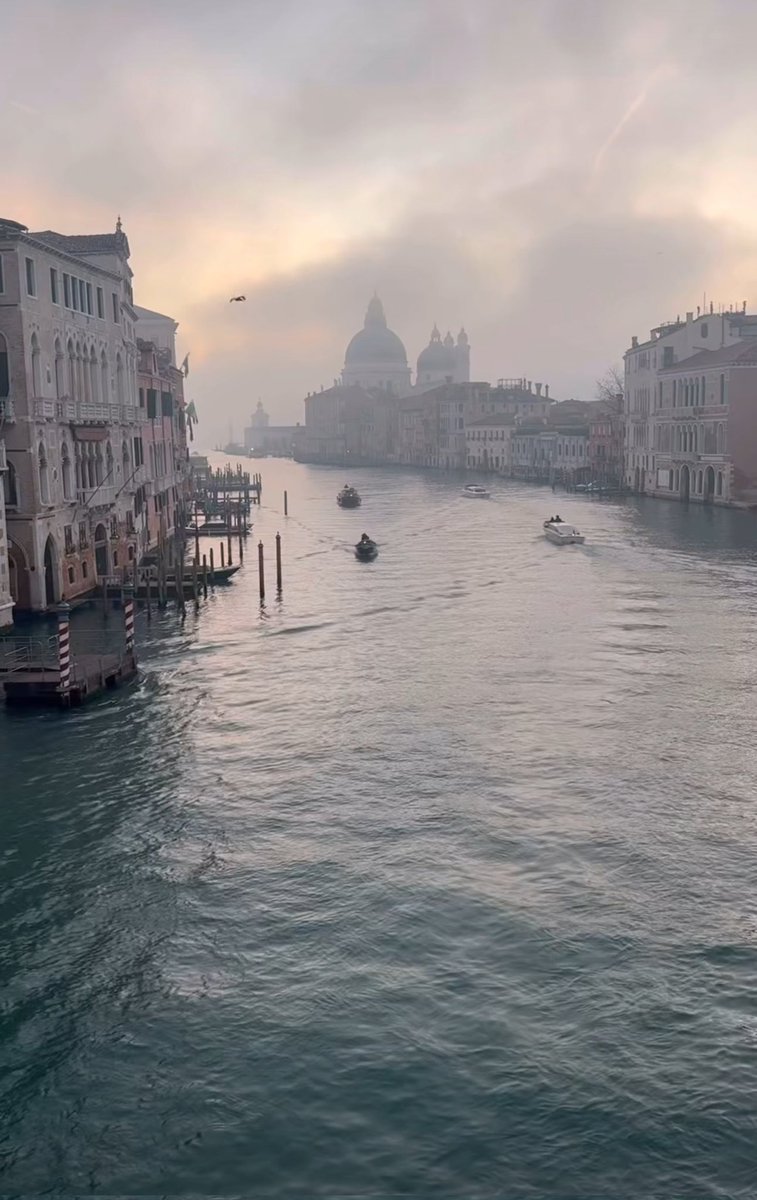 Già meglio col caigo...Venezia 🤩🤩🤩