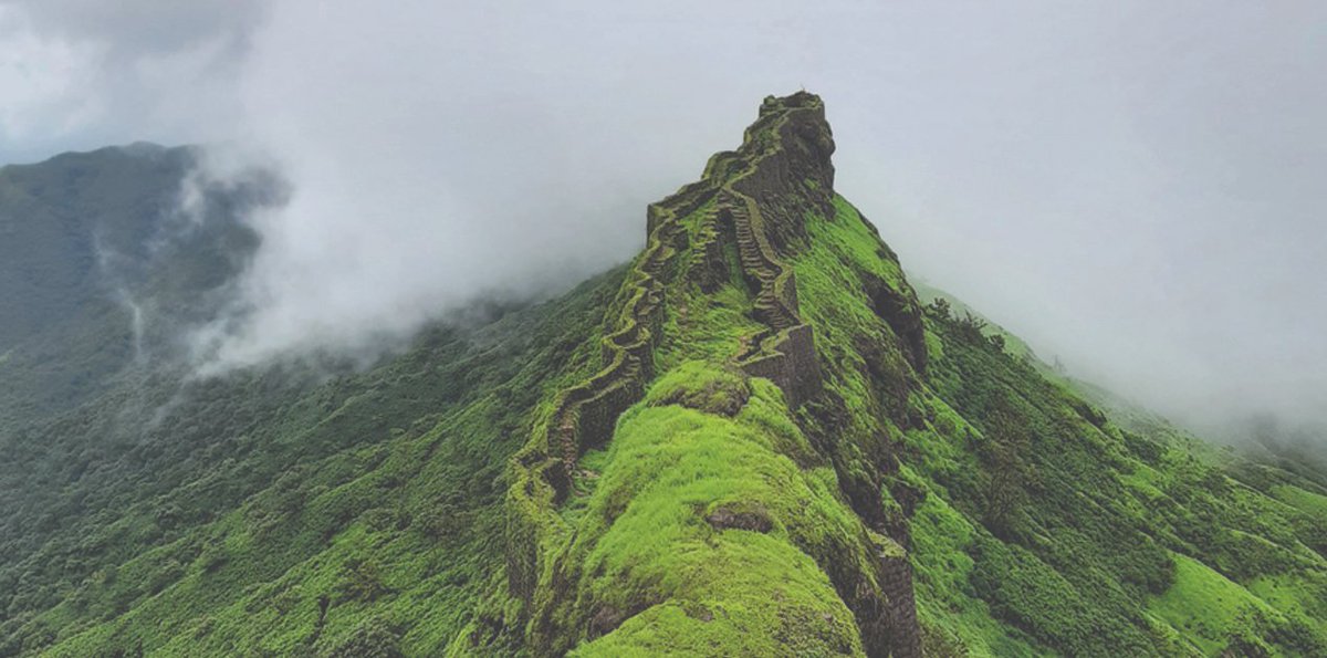 VIF India tweet media