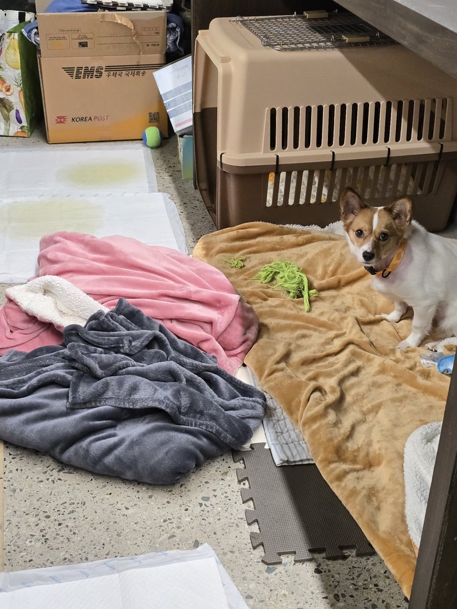 이 당당하게 사고친 거 보고 얼탱이가 없었음