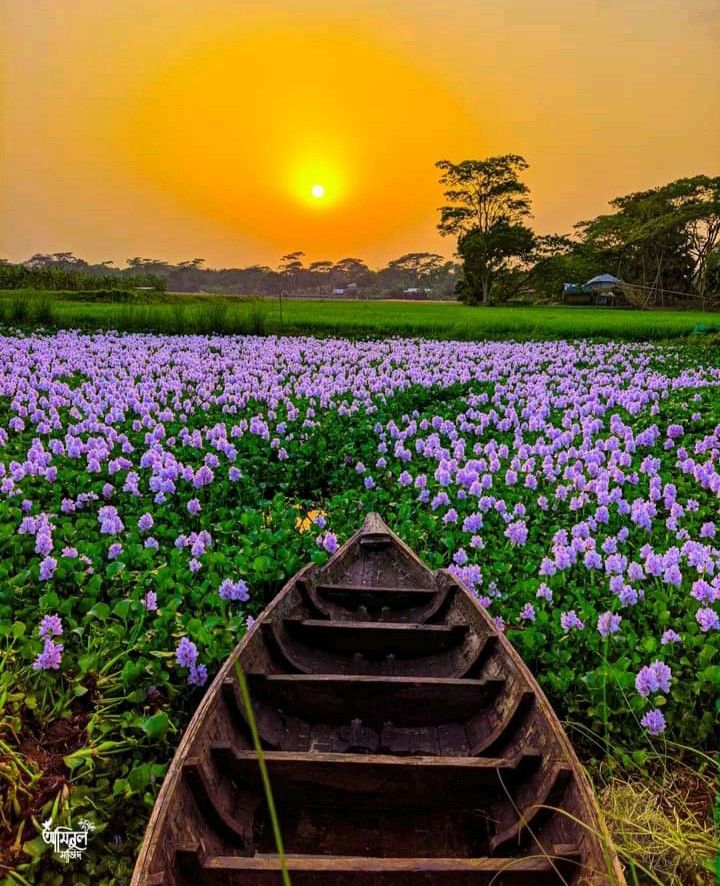 GALATEA💜✨ tweet media