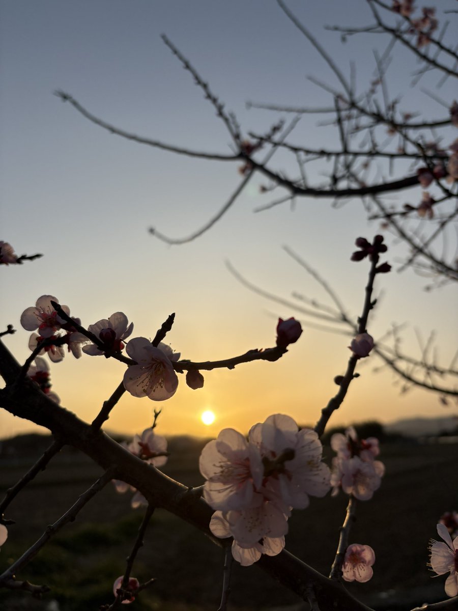 PaPaPhoto (@papa881photo) / Posts / X