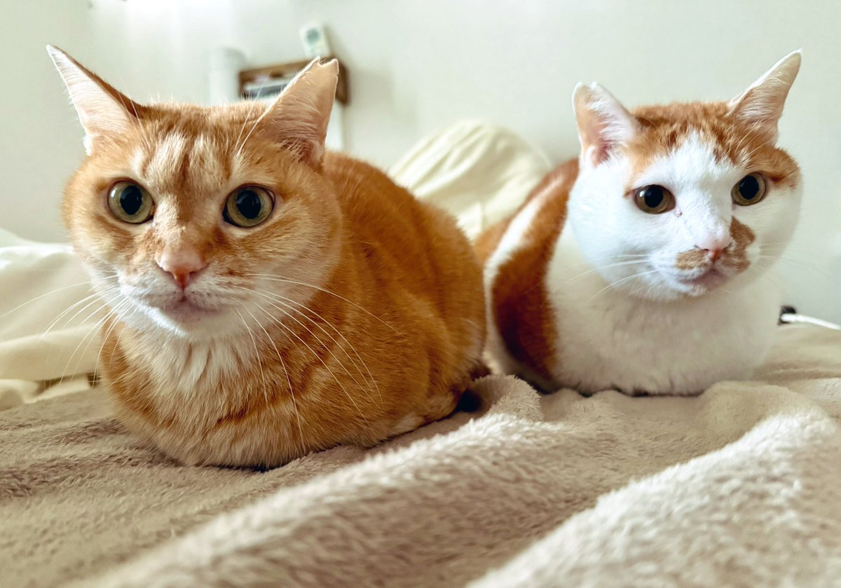 いまこうしてる☺︎