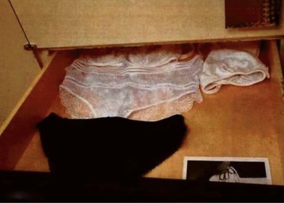 Little Think Tank tweet media