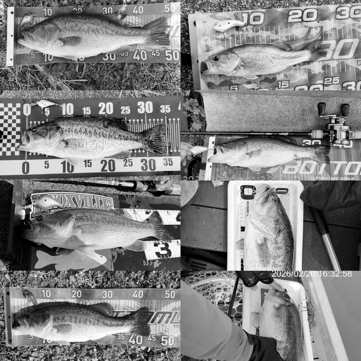 plotz_lure 3月チャレンジ東北信越26開催中です🎣 tweet media