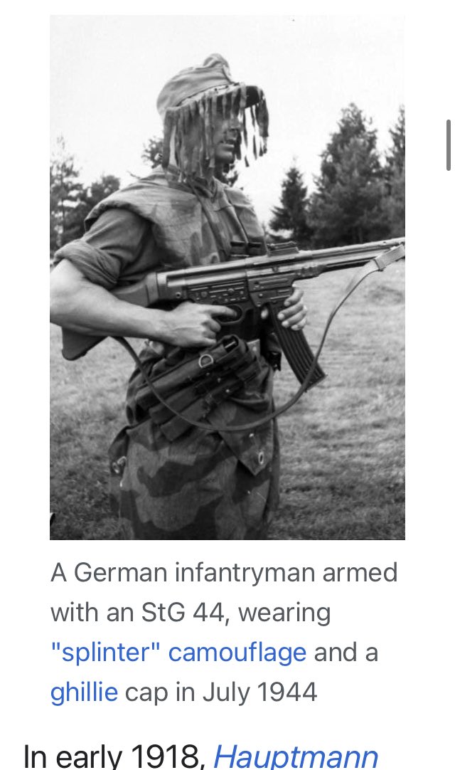 RT @kiessel1945: 英語版Wikipediaに添付されているMP44を持ったこの