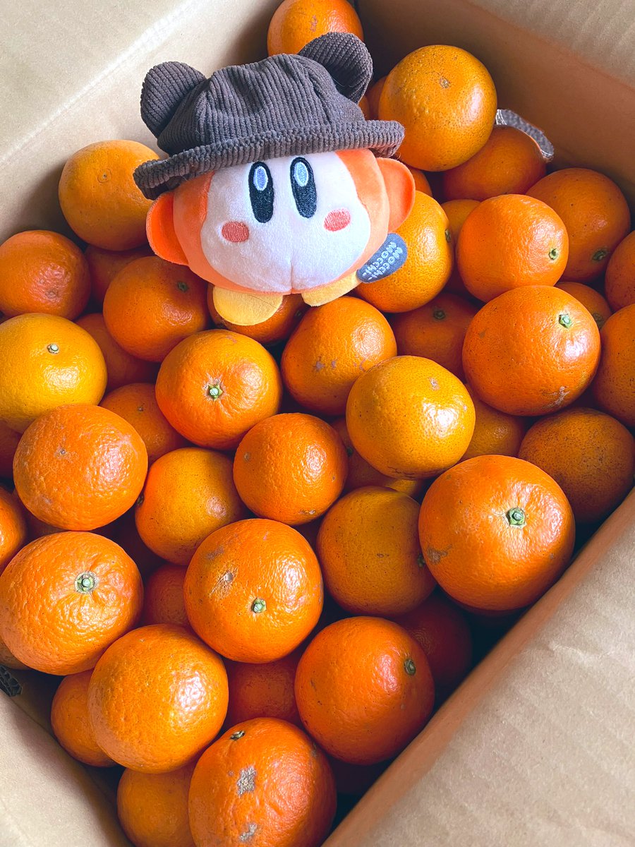 毎年恒例の、屋久島のたんかんが届いたﾜﾆｬｰ！！