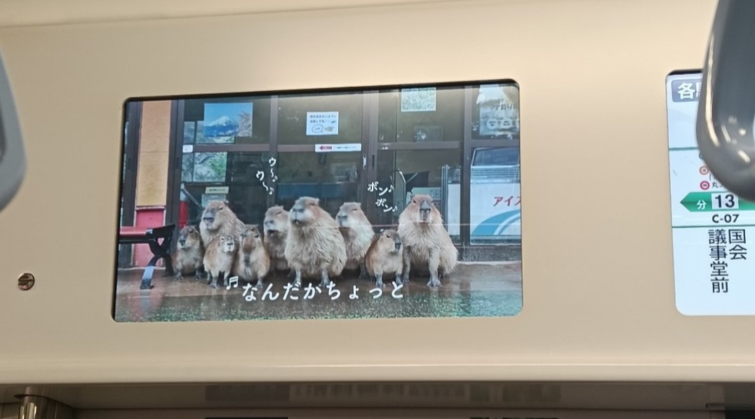 地下鉄でカピバラさんに会えた〜
うれしい😆
#カピバラ　#日清紡