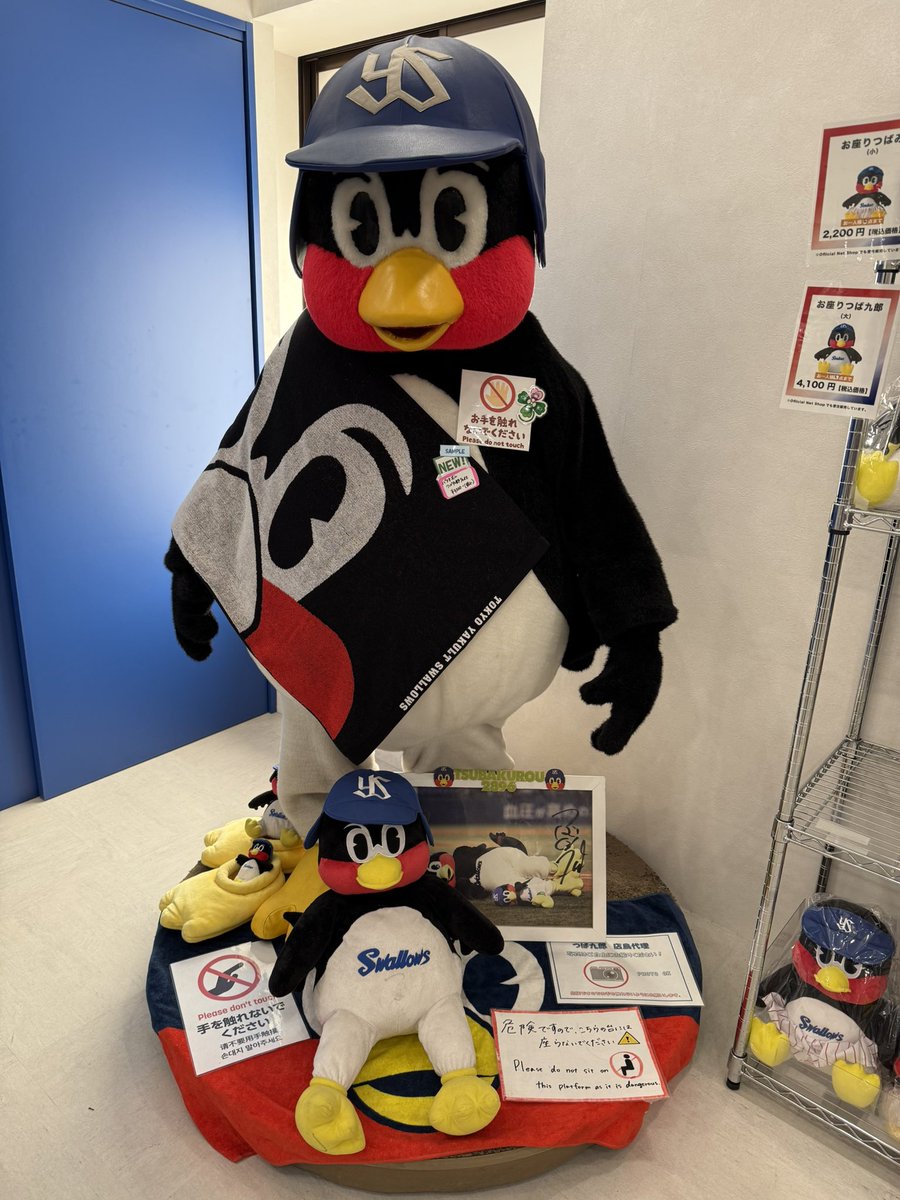 この後は信濃町店へ🐧 店鳥🥰 スタジアムシートクッションのつば九郎総