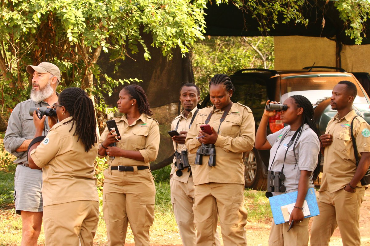 AkageraPark's tweet photo. The training sessions for level 1 of the Field Guides Association of Southern Africa (FGASA) have resumed for all Community Freelance Guides and Park Guides.

Under the guidance of @Painted_Wolves, a certified FGASA instructor, this program is dedicated to enhancing guides' technical skills, ultimately enriching the visitor experience at Akagera National Park. Our guides are putting in their best efforts as they prepare for assessments coming up in November.

#CapacityBuilding #Akagera #Rwanda