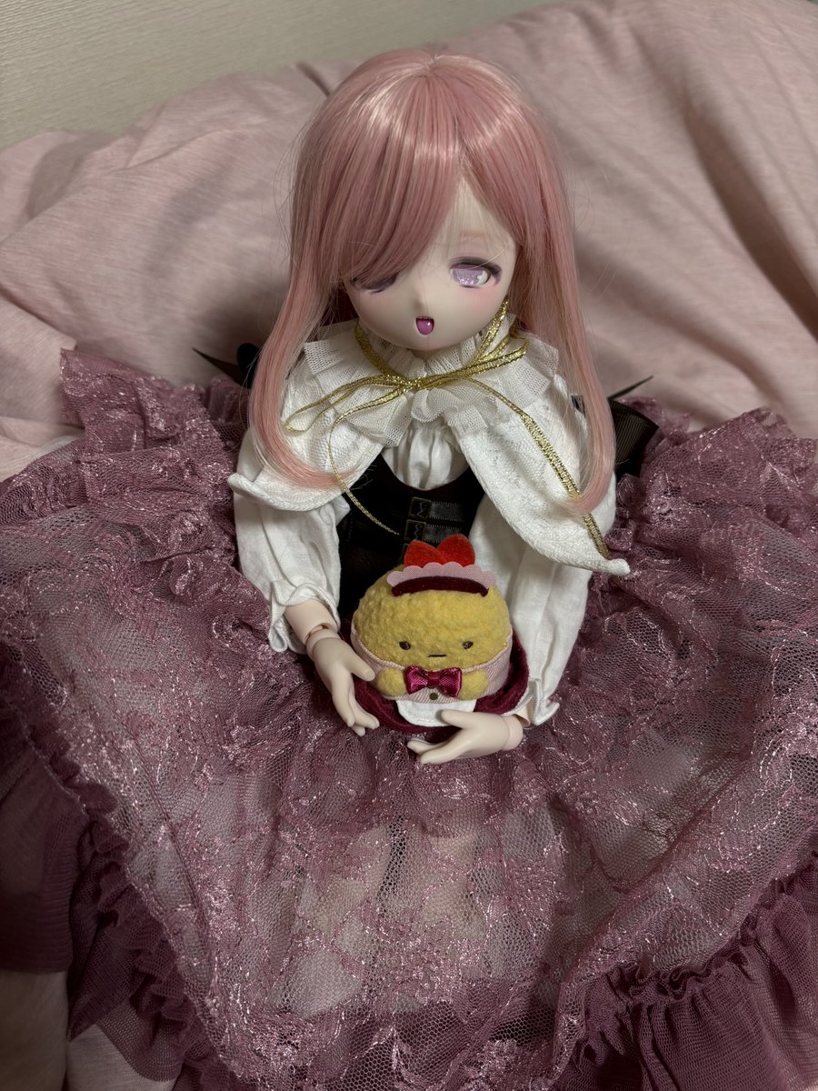 ⟡꒰ঌ しらゆき ここ ໒꒱⟡.· (@shirayuki__doll) / Posts / X