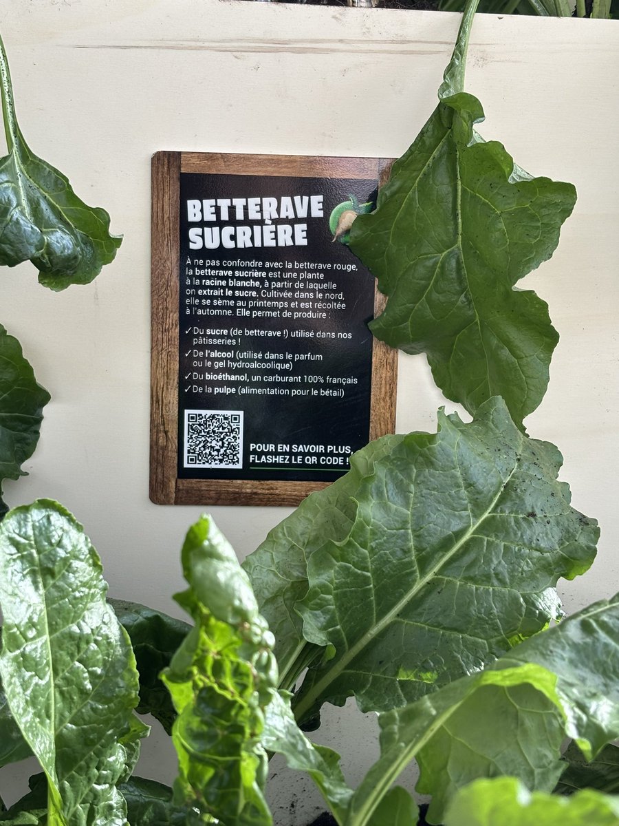 Miss Better tweet media