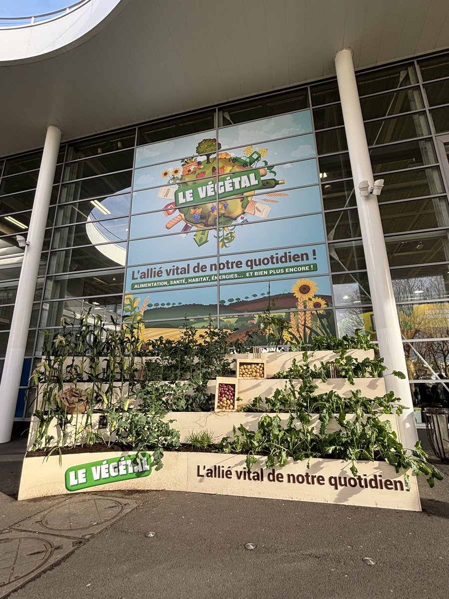 Miss Better tweet media