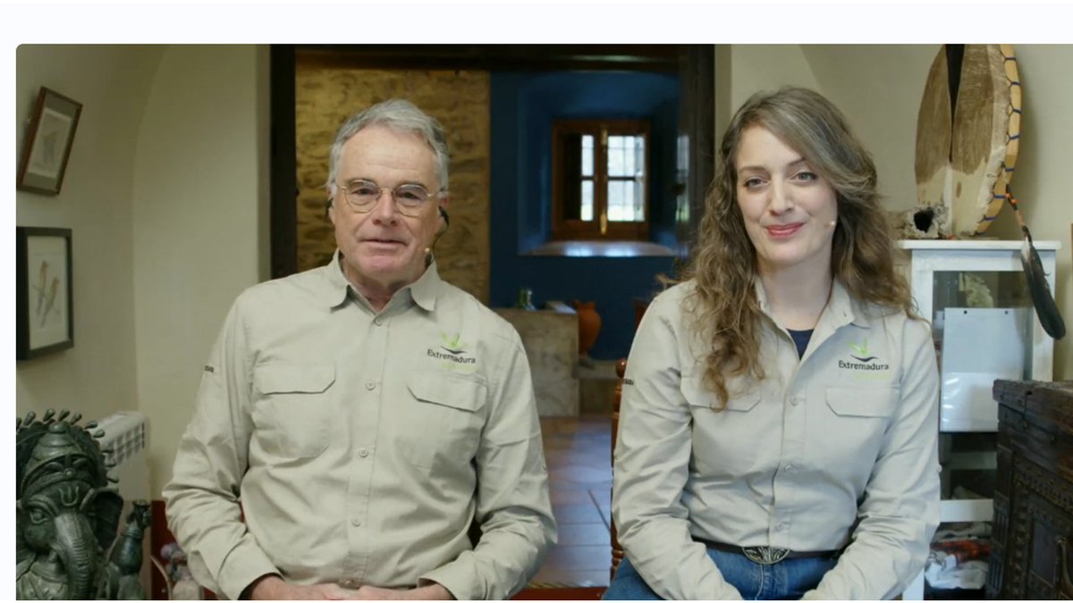 Spain in India tweet media