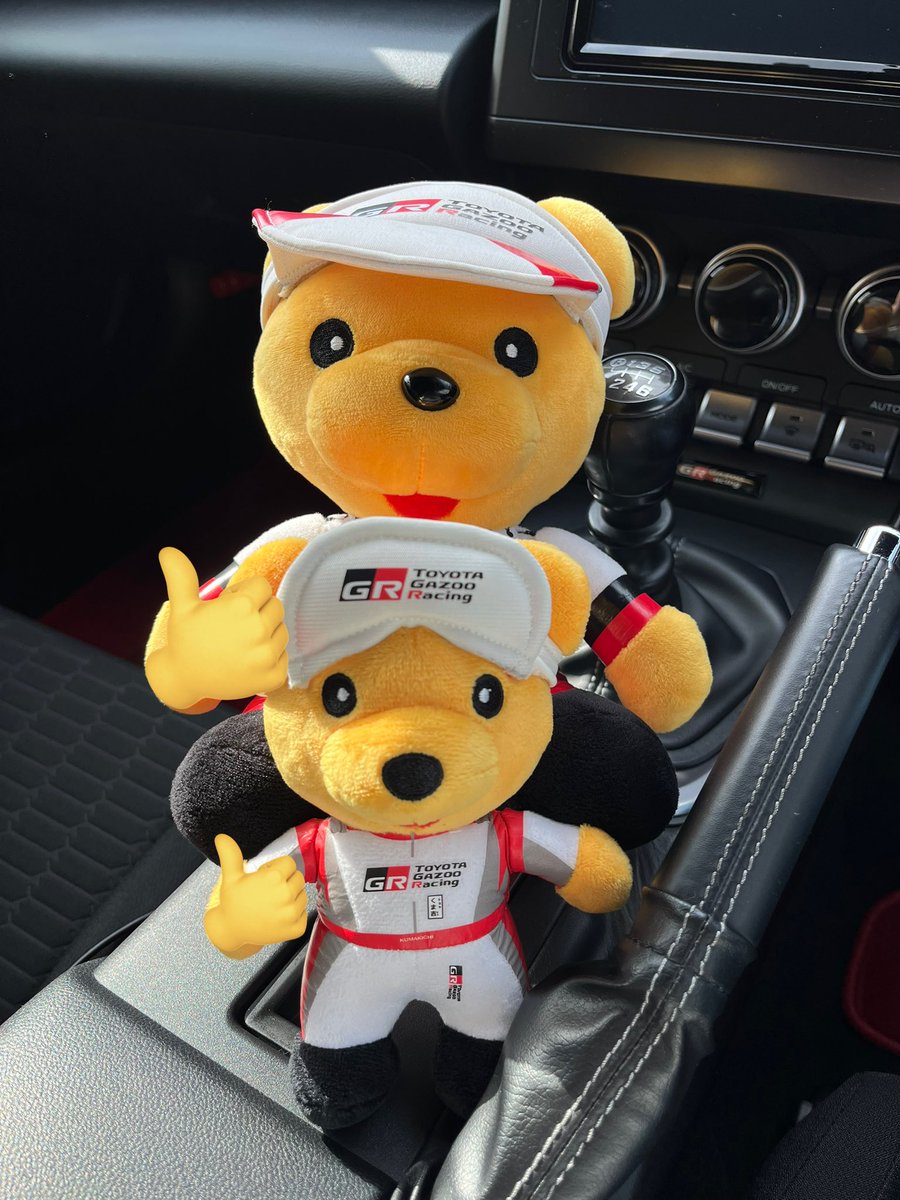 Post by ツインくま吉🐻🐻(👦ヒトキ) on X: 🐻👍🐻👍