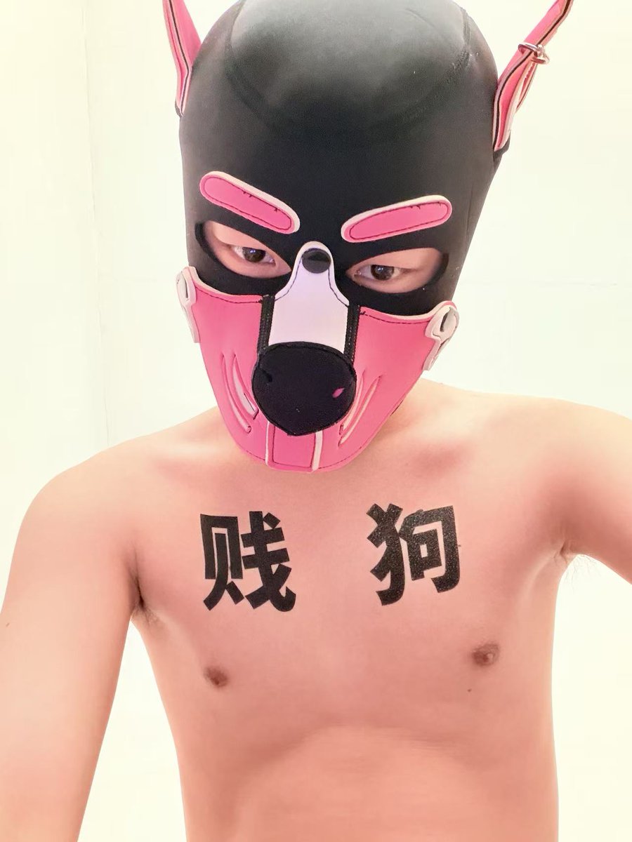 小裤衩 tweet media