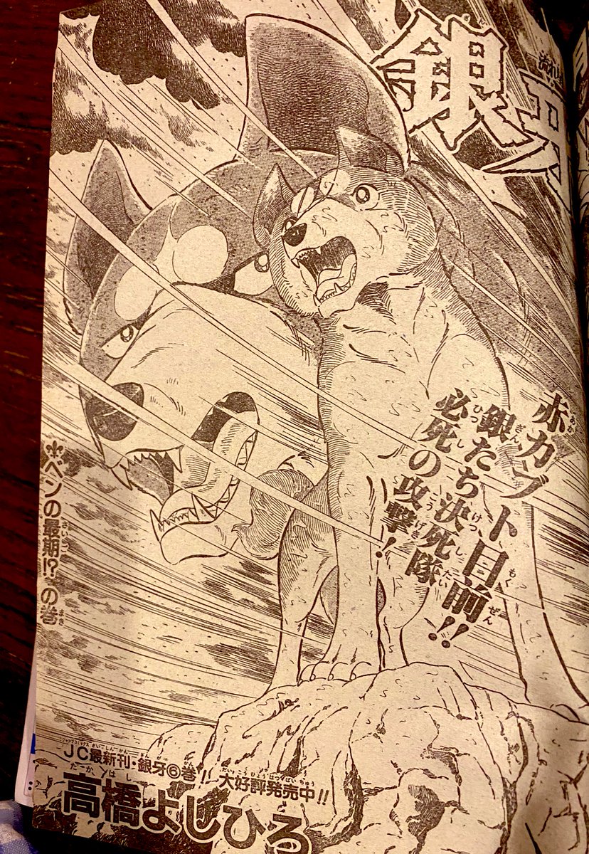 🌌高橋よしひろ先生新連載🌌銀牙伝説レクイエム🌌 (@katukatu210