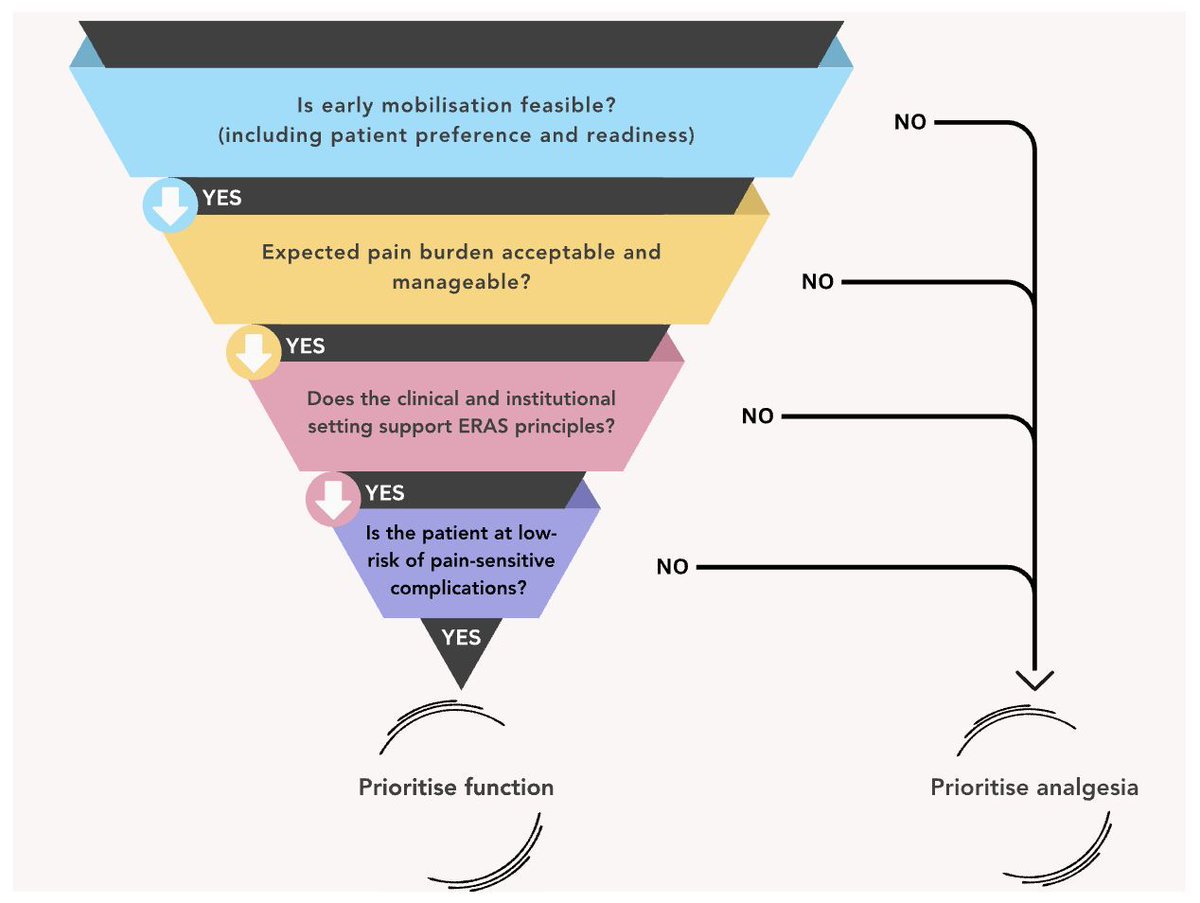 Here is a minor amendment to the wording of the first decision point in the schematic revised to read: ‘Is early mobilisation feasible? (including patient preference and readiness)’

This also reflects patient engagement and preparedness.

#anaesthesia #regionalanaesthesia