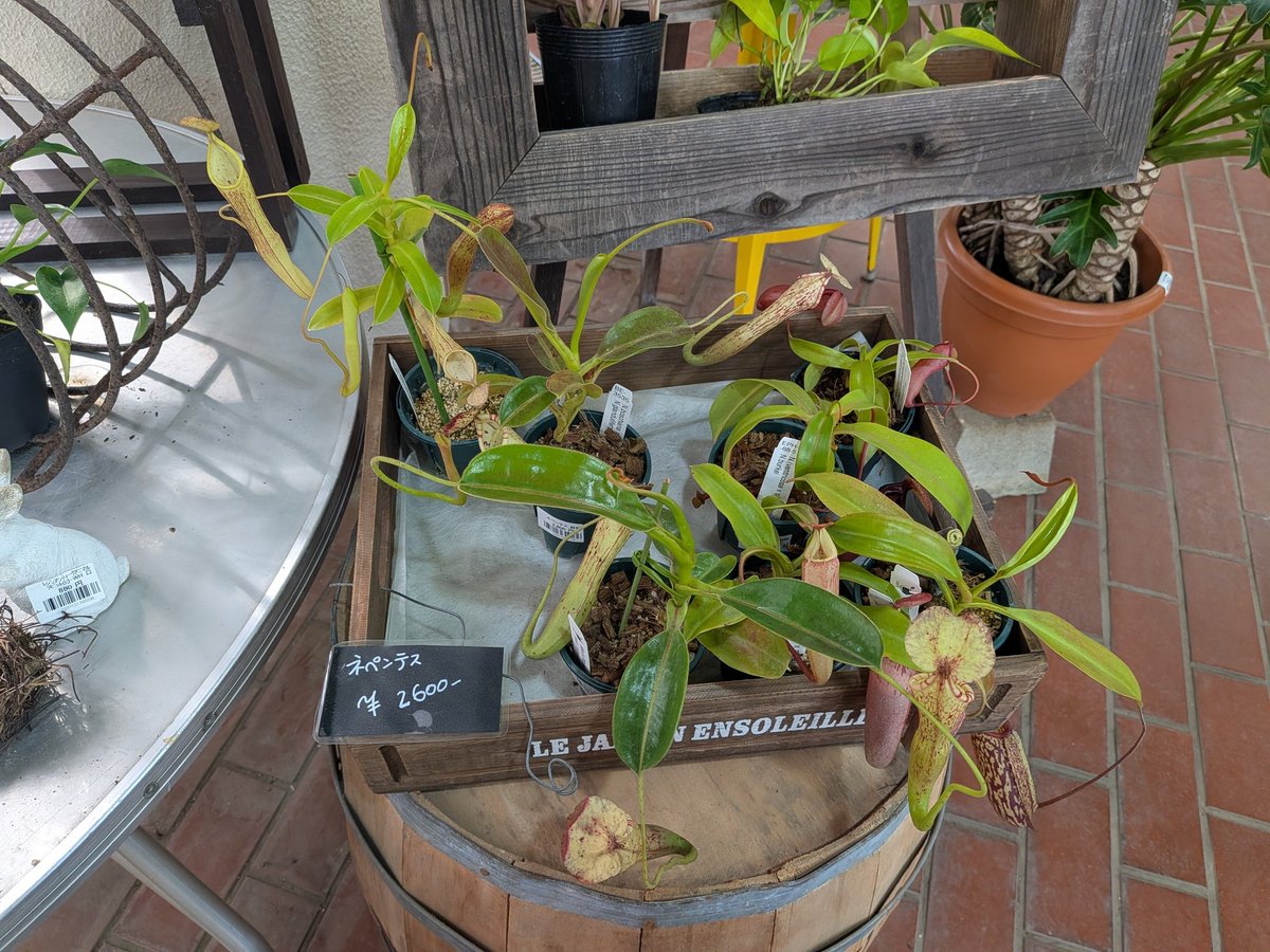 GEN (@GEN85413271) / Posts / X