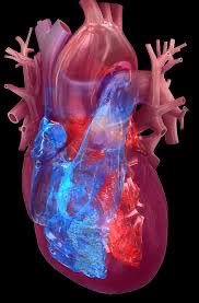 Quomi8's tweet photo. Routine screening can help detect hidden diabetes and kidney disease early, reducing the risk of heart attacks and strokes through timely prevention.
Read more on https://t.co/eQxg7256xF
#quomi #HeartHealth #PreventiveCare #DiabetesAwareness #HealthScreening #CardiovascularHealth #PublicHealth #EarlyDetection #patientcare
