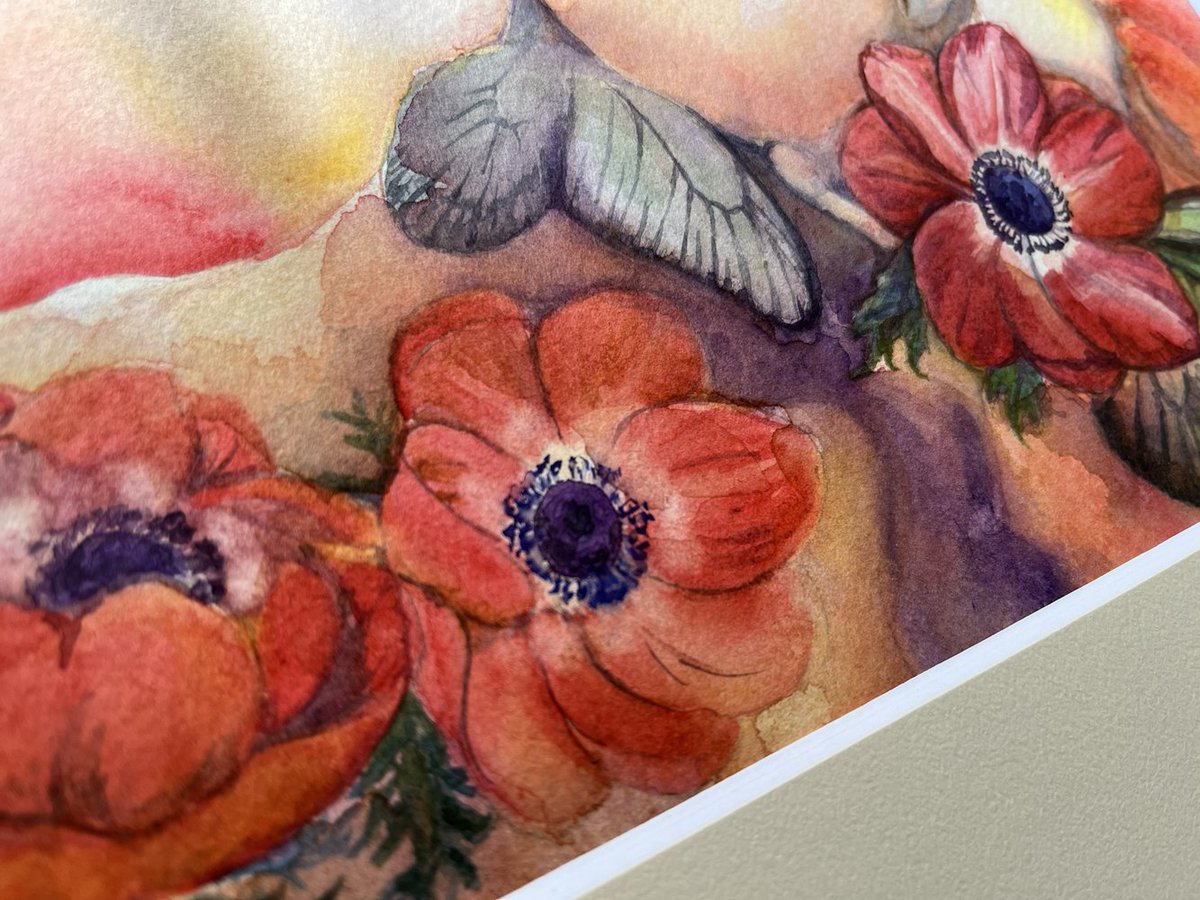 本日最終日〈水彩画特価セール〉 （作品紹介）アネモネ～愛～ 赤は強い