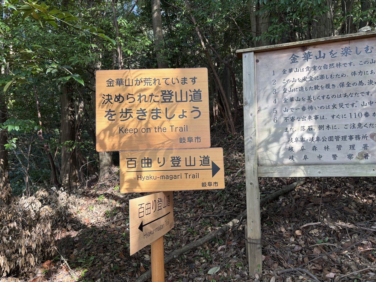 5kAZ5's tweet photo. 快晴の岐阜市☀️
金華山ドライブウェイをスロージョギングで往復(岩戸公園→岐阜公園→百曲がり登山道→岐阜城)
トレランシューズ👟ほしいな、、 https://t.co/58jh2wBqh8