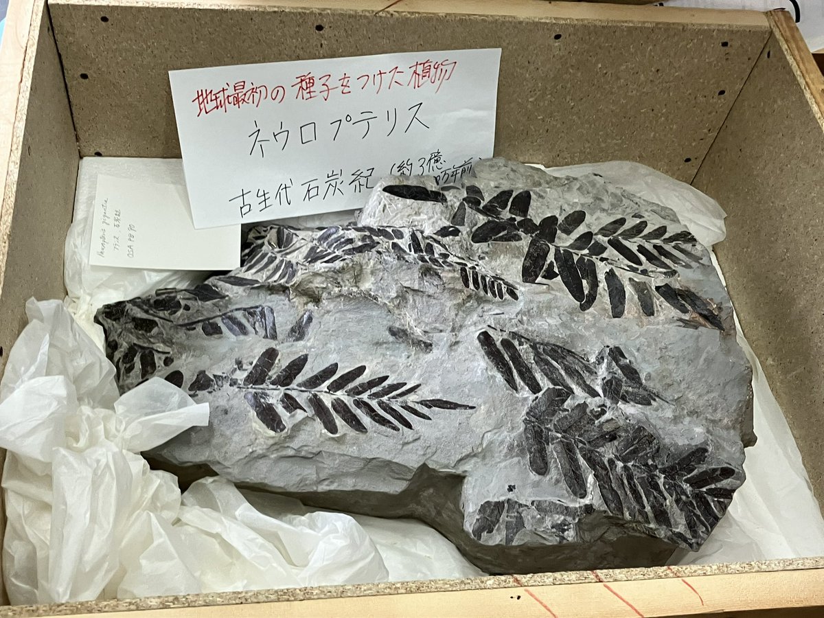 なべ (@nabe_12) / Posts / X