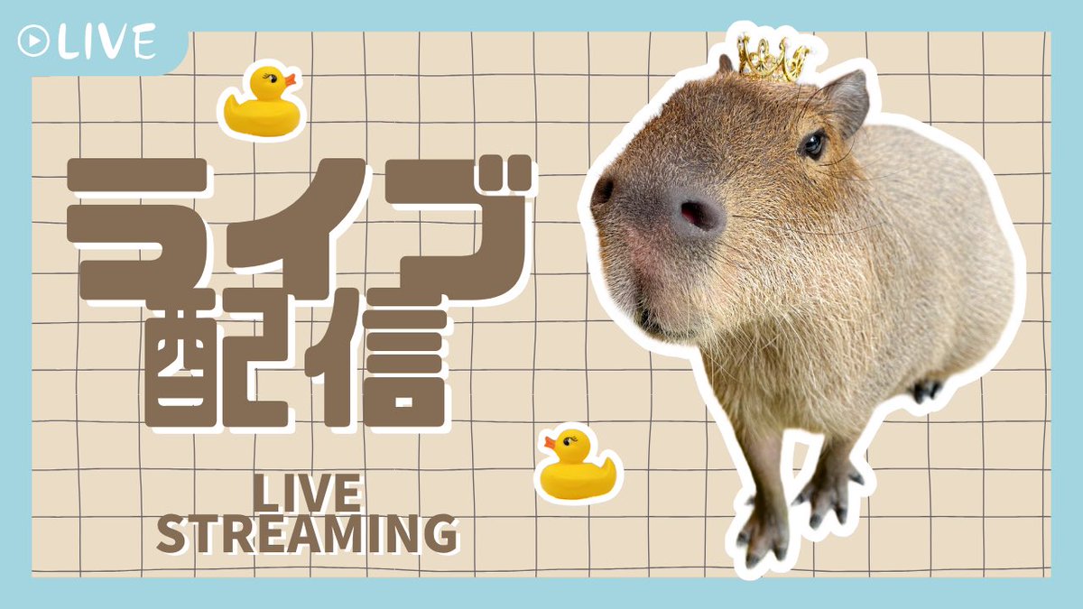 カピヴィレッジYouTube tweet media
